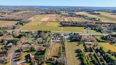 17525 County Rd. 48 (aka Middle Rd). Currently being used as a - photo 29