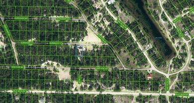 Lake Grassy Lot For Sale in Lake Placid Florida