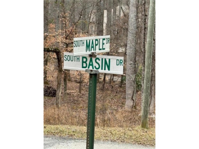 The Basin Lake Acreage For Sale in Jasper Georgia