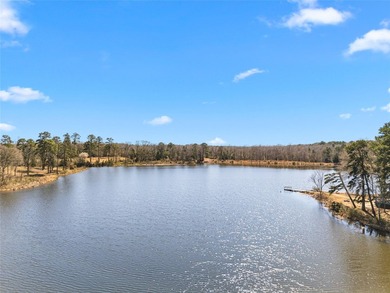 420 acres of raw land with a 40 acre lake and 20 acre lake - photo 9