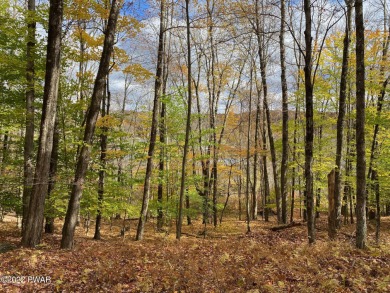 Bunnells Pond Acreage For Sale in Honesdale Pennsylvania