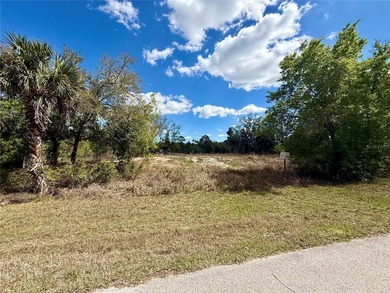 Build your dream home on this beautiful lakefront property in - photo 2