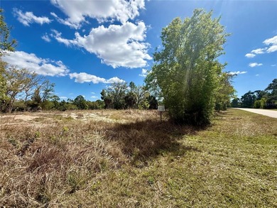 Build your dream home on this beautiful lakefront property in - photo 3