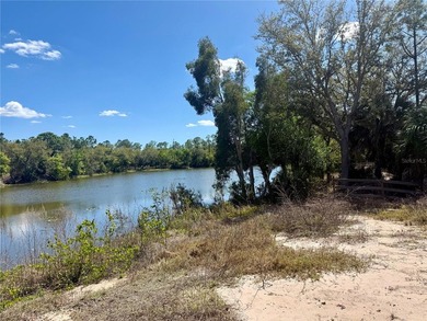 Build your dream home on this beautiful lakefront property in - photo 4