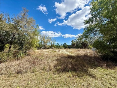Build your dream home on this beautiful lakefront property in - photo 5