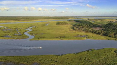 Wando River Lot For Sale in Daniel Island South Carolina