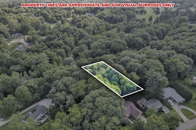 Enjoy Lake Life! A perfect opportunity to own a lot on well - photo 1