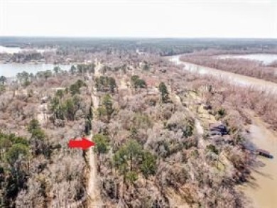 Lot 21 Lee Drive at Newmans Sportsman Club subdivision - Lake Lot For Sale in Trinity, Texas