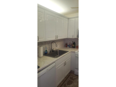 Nicely renovated 1st floor 1 Bedroom, 1.5 Baths condo located in - photo 3