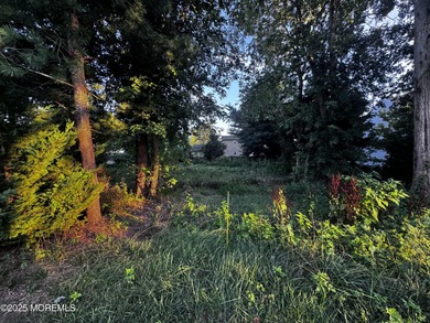 Pine Lake Lot For Sale in Toms River New Jersey