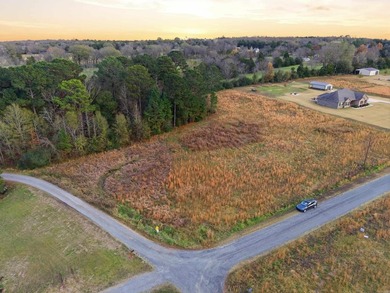 0.88 acre lot near Lake Overcup available for custom build! - photo 8