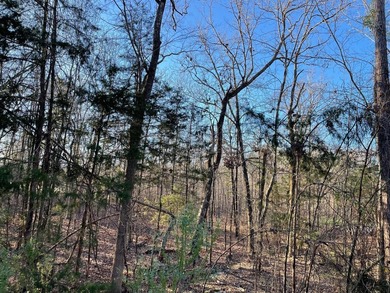 Building lot backing to corps property. Easy access to water and - photo 4