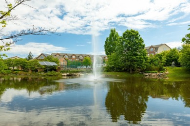 Lake Condo For Sale in Ann Arbor, Michigan