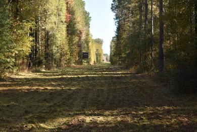 (private lake, pond, coastal) Home For Sale in Clinton Louisiana