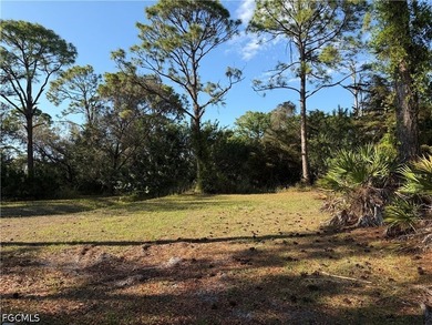 Stunning 2.72 acre parcel in the Glenn Meadow zoned AG. This - photo 3