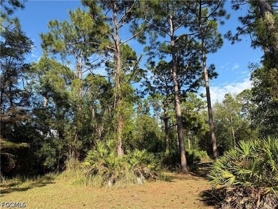 Stunning 2.72 acre parcel in the Glenn Meadow zoned AG. This - photo 4