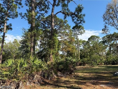 Stunning 2.72 acre parcel in the Glenn Meadow zoned AG. This - photo 5