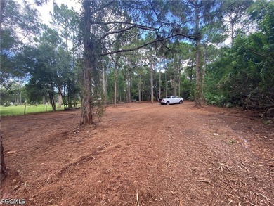 Stunning 2.72 acre parcel in the Glenn Meadow zoned AG. This - photo 8