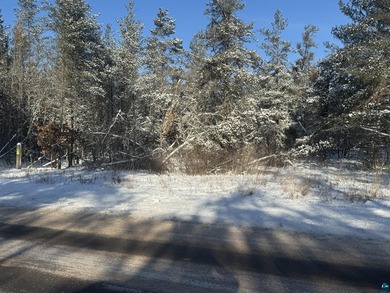 Just over a 1/4 Acre parcel located in the heart of the - photo 1