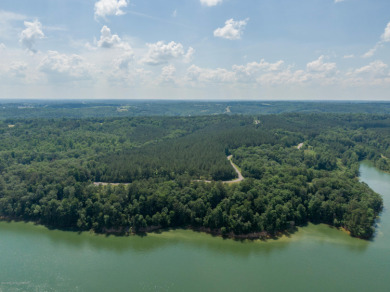 Smith Lake/Lick Branch: Waterbound Subdivision Lot 8 Phase I - Lake Lot For Sale in Crane Hill, Alabama