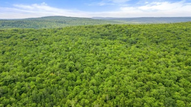 Lake Acreage For Sale in Hartland, Maine