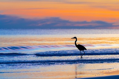 Few neighborhoods as special as Gulf Pines exist along the - photo 7