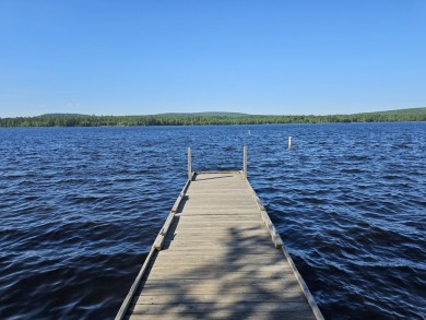 Lake Acreage For Sale in Hartland, Maine