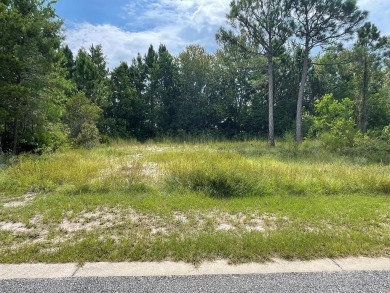 New River - Franklin County Lot For Sale in Carabelle Florida