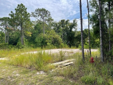 Nice lot ready to build your primary home, or a vacation rental - photo 2