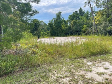 Nice lot ready to build your primary home, or a vacation rental - photo 3