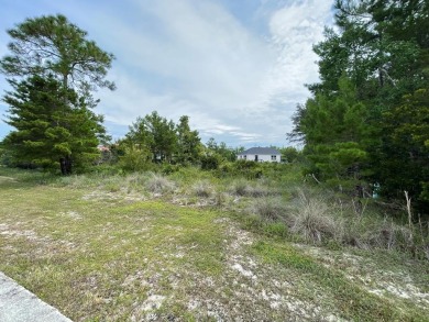 New River - Franklin County Lot For Sale in Carabelle Florida