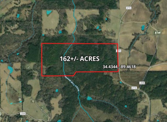 (private lake, pond, creek) Acreage For Sale in Abbeville Mississippi