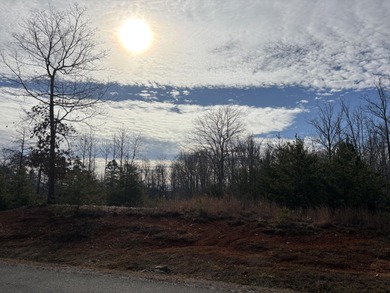 Smith Mountain Lake Lot For Sale in Union Hall Virginia