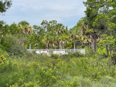 Beautiful lot located adjacent to community pool and clubhouse - photo 4
