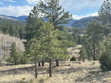 South Fork Rio Grande River Lot For Sale in South Fork Colorado