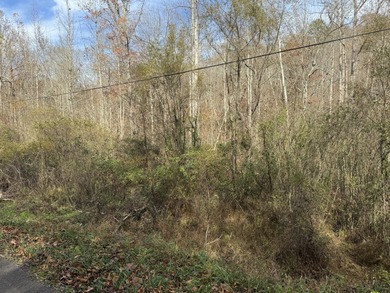 (private lake, pond, creek) Acreage For Sale in Williamsburg Kentucky