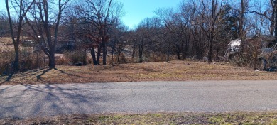 Grand Lake O the Cherokees Lot For Sale in Langley Oklahoma