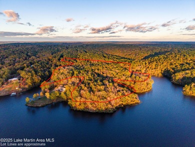 Welcome to Yates Lake! With 21 +/- acres and 2,000 +/- of - photo 11