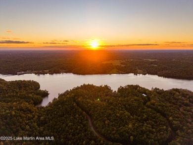 Welcome to Yates Lake! With 21 +/- acres and 2,000 +/- of - photo 12