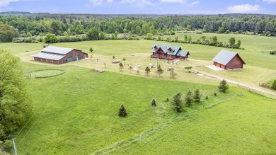 (private lake, pond, creek) Home For Sale in Sears Michigan