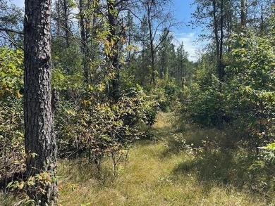 Beautifully wooded parcel on a secluded country road just south - photo 1