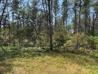 Beautifully wooded parcel on a secluded country road just south - photo 2