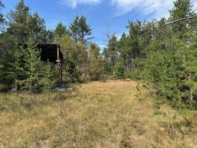Beautifully wooded parcel on a secluded country road just south - photo 3