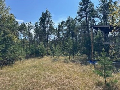 Beautifully wooded parcel on a secluded country road just south - photo 4