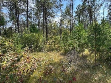 Beautifully wooded parcel on a secluded country road just south - photo 6