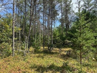 Beautifully wooded parcel on a secluded country road just south - photo 7