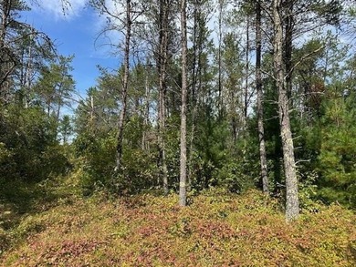 Beautifully wooded parcel on a secluded country road just south - photo 8