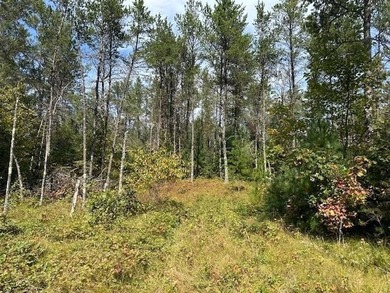 Beautifully wooded parcel on a secluded country road just south - photo 9