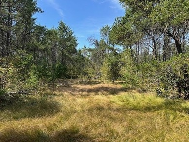 Beautifully wooded parcel on a secluded country road just south - photo 10