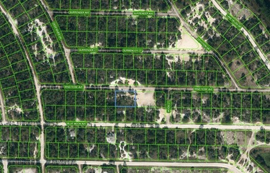 Lake Grassy Lot For Sale in Lake Placid Florida